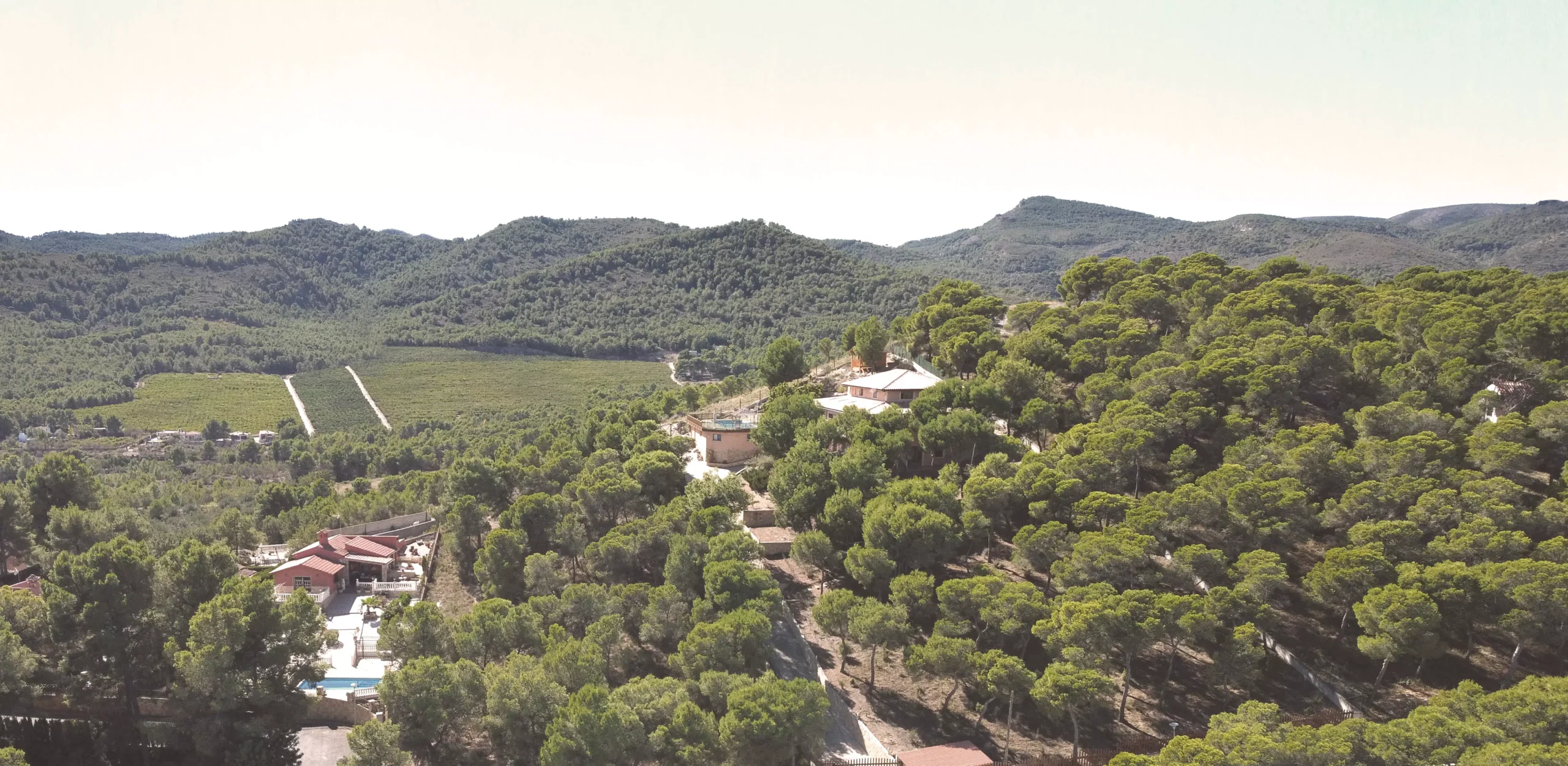 Vista lejana de la vivienda entre la vegetación mediterránea | E6A